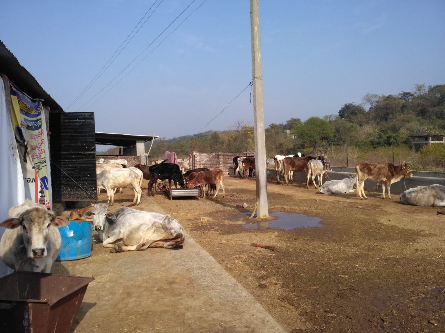 IMG_20161231_113436-scaled-1-1536x1152