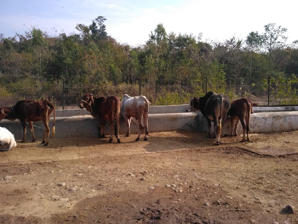 IMG_20161231_113442-scaled-1-1024x768