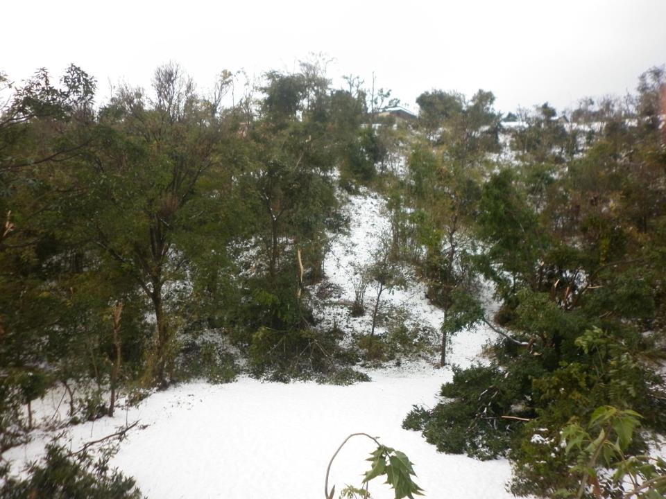 First snow fall In Kamahi Devi
